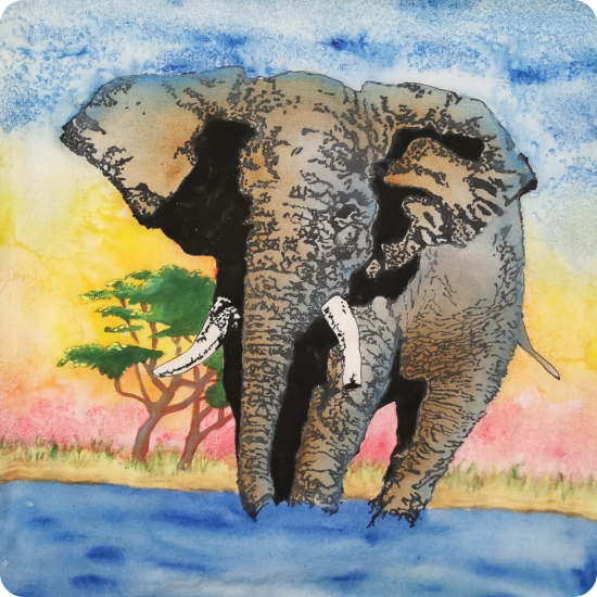 about-painting-classes-elephant