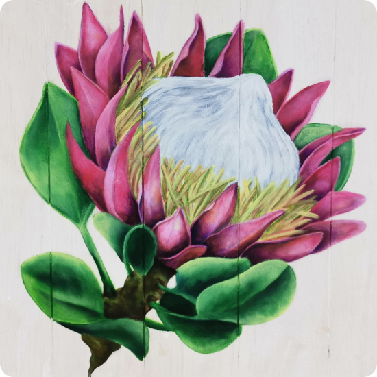 about-painting-classes-protea