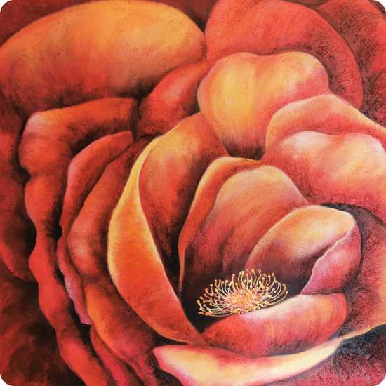 about-painting-classes-rose